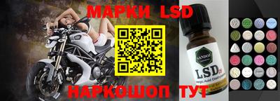 гидропоника Донской