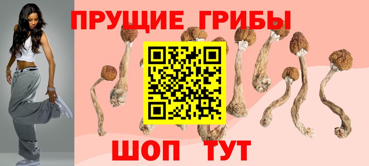 Троицк  Псилоцибиновые грибы мицелий  Псилоцибиновые грибы Psilocybine cubensis  Вход с VPN 