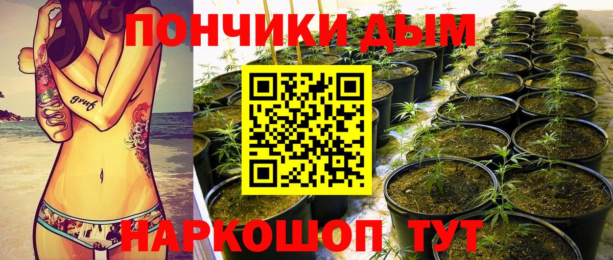 Каннабис OG Kush Троицк